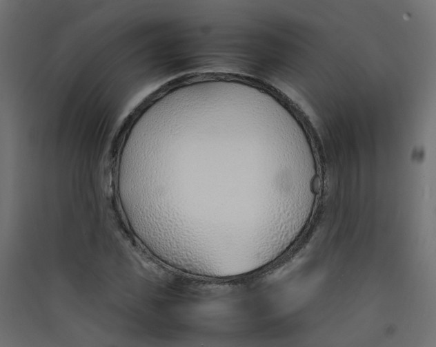 X0000089460925200707131945