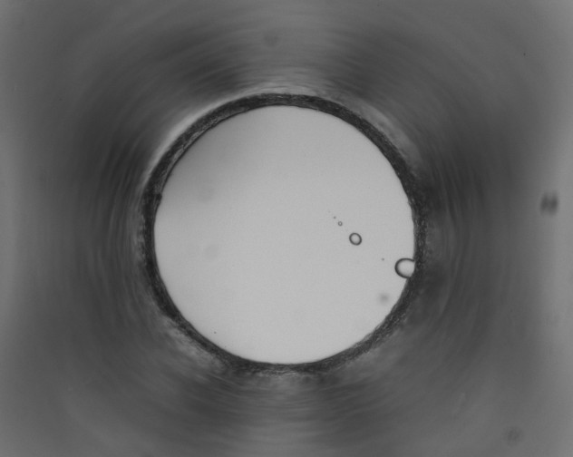 X0000089460926200707131945