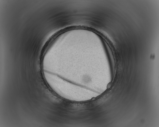 X0000089460927200707131945