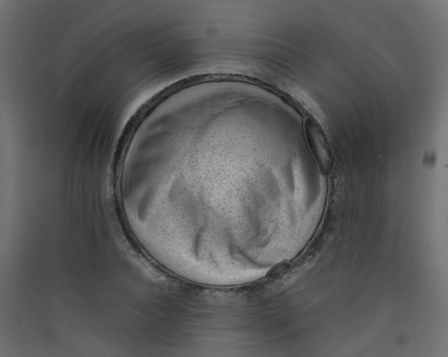 X0000089460928200707131945