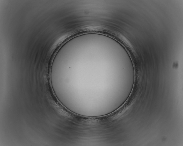 X0000089460930200707131945