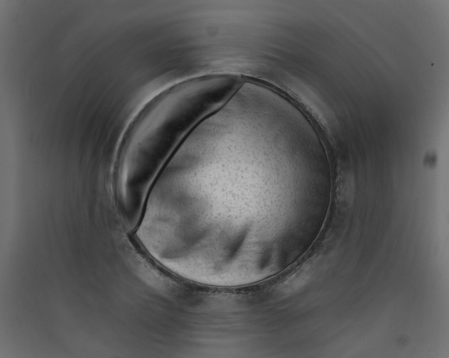 X0000089460932200707131945