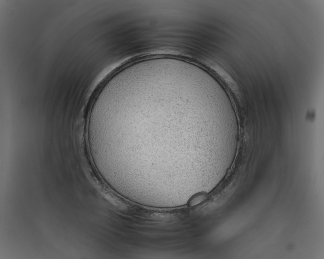 X0000089460933200707131945