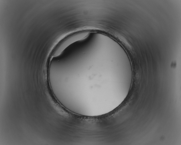 X0000089460934200707131945