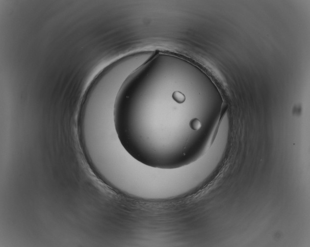 X0000089460936200707131945