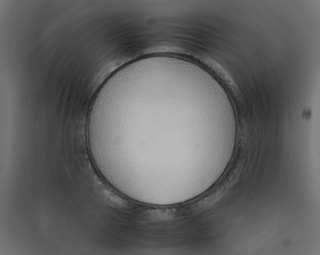 X0000089460937200707131945