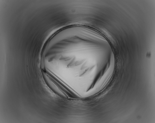 X0000089460940200707131945