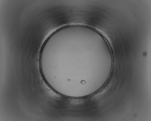 X0000089460941200707131945