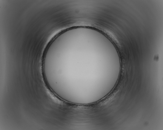 X0000089460942200707131945