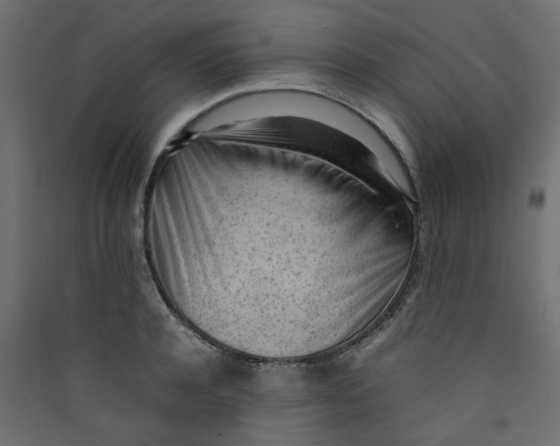 X0000089460944200707131945