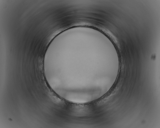 X0000089460945200707131945