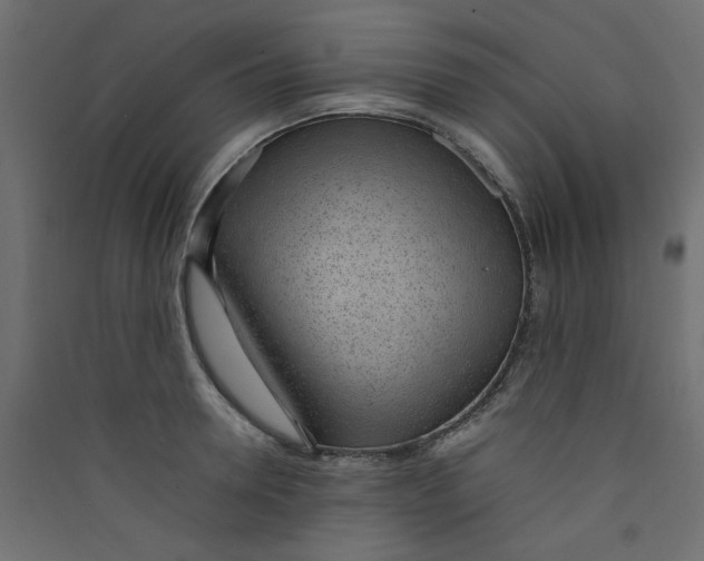 X0000089460946200707131945