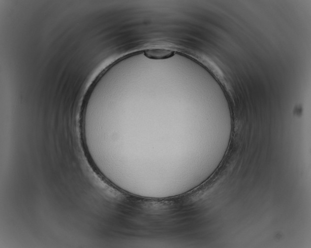 X0000089460947200707131945