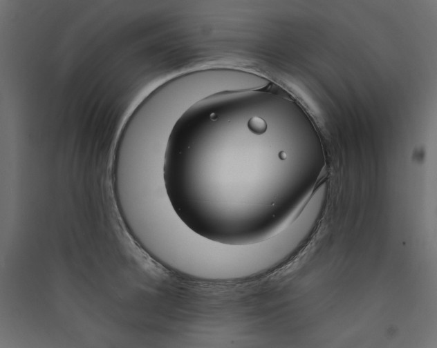 X0000089460948200707131945