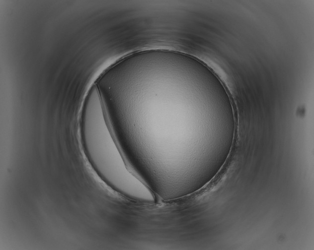 X0000089460949200707131945