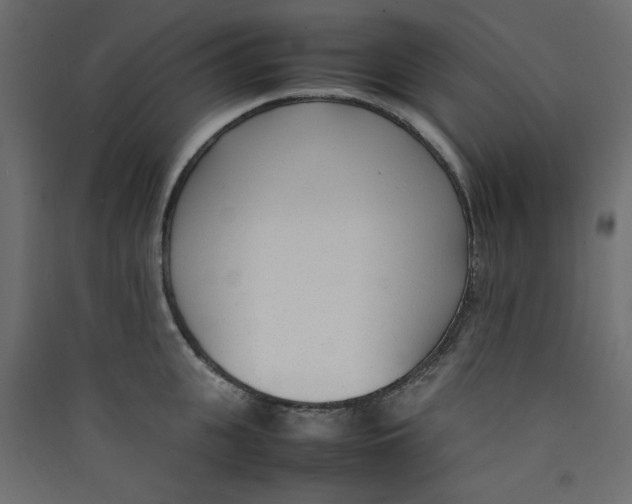 X0000089460951200707131945