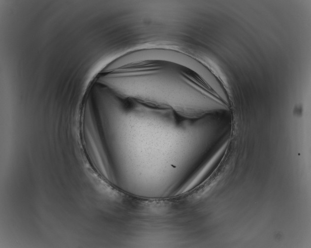 X0000089460952200707131945