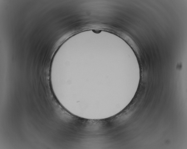 X0000089460954200707131945