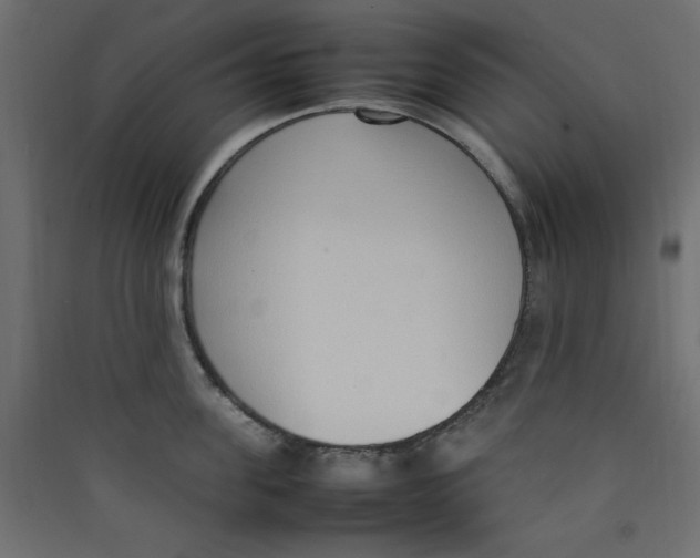 X0000089460955200707131945