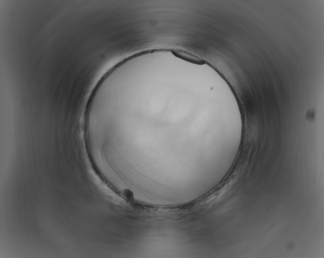 X0000089460958200707131945