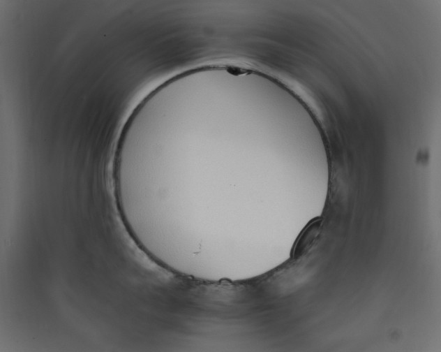 X0000089460959200707131945