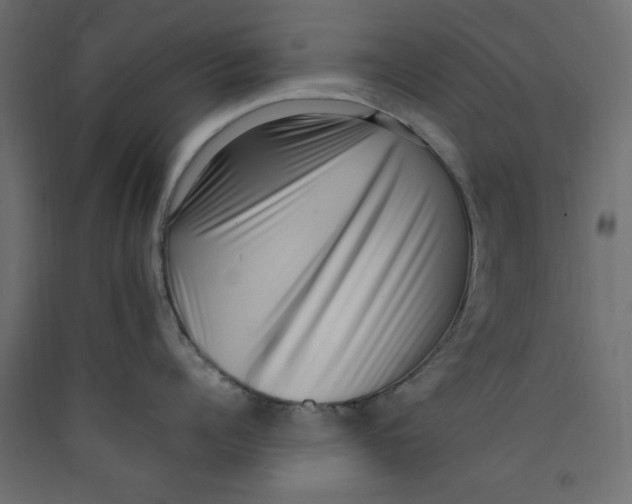 X0000089460960200707131945