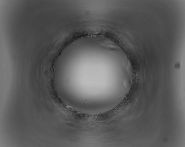 X0000089460961200707131945