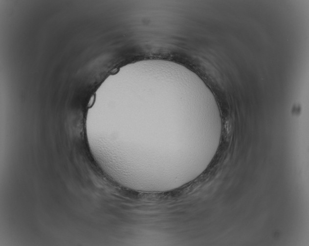 X0000089460963200707131945