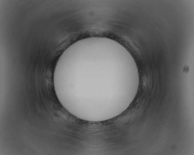 X0000089460964200707131945