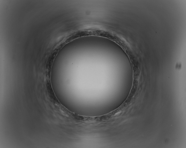 X0000089460965200707131945