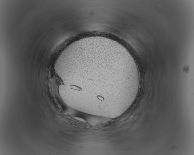 X0000089460967200707131945