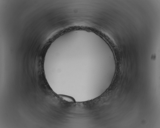 X0000089460968200707131945