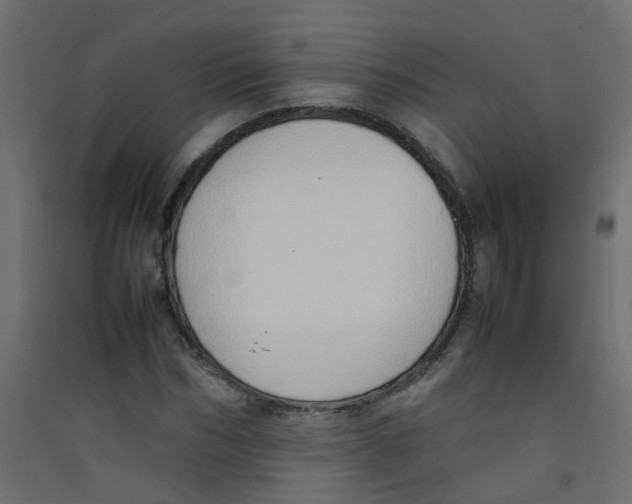 X0000089460970200707131944