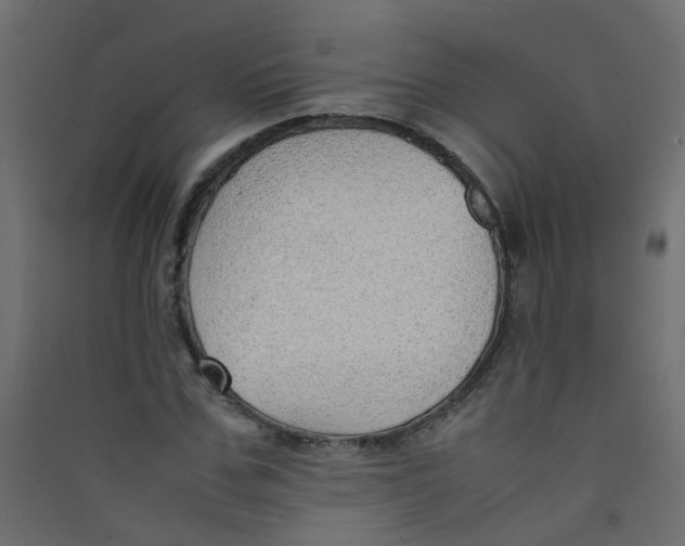 X0000089460971200707131944