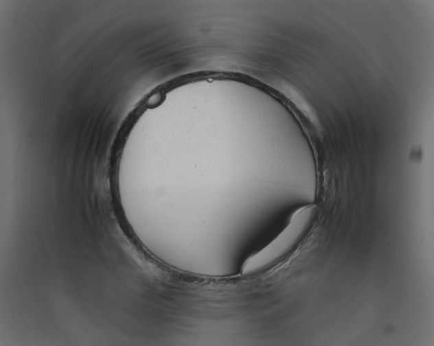 X0000089460972200707131944