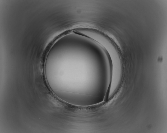 X0000089460973200707131944