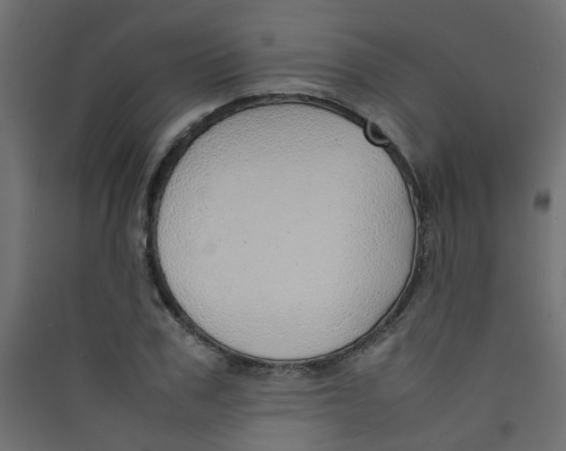 X0000089460979200707131944