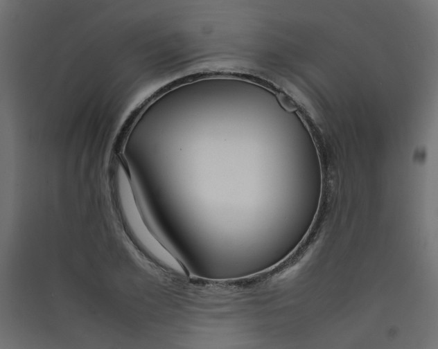 X0000089460981200707131944