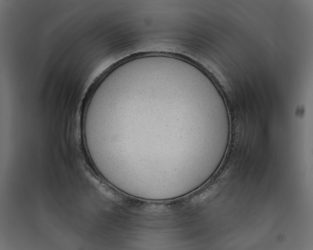 X0000089460982200707131944