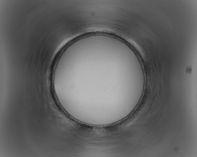 X0000089460983200707131944