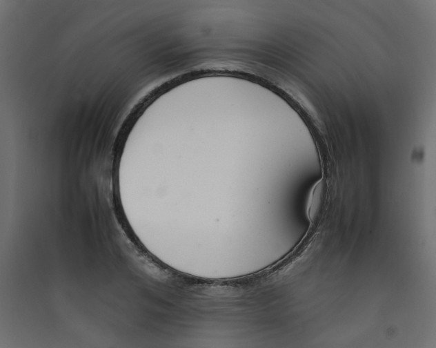 X0000089460984200707131944