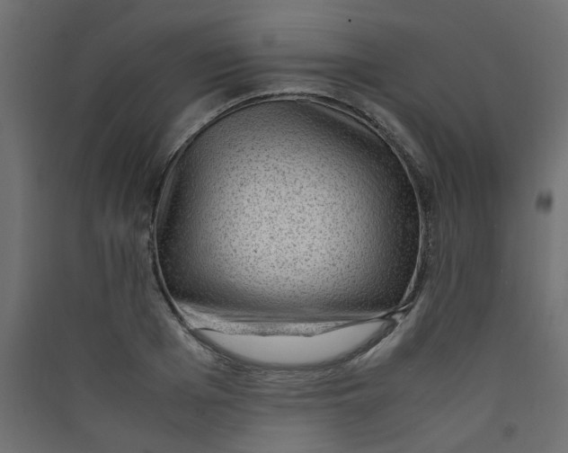 X0000089460985200707131944