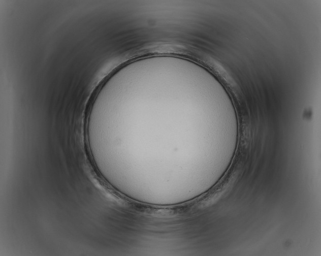 X0000089460986200707131944