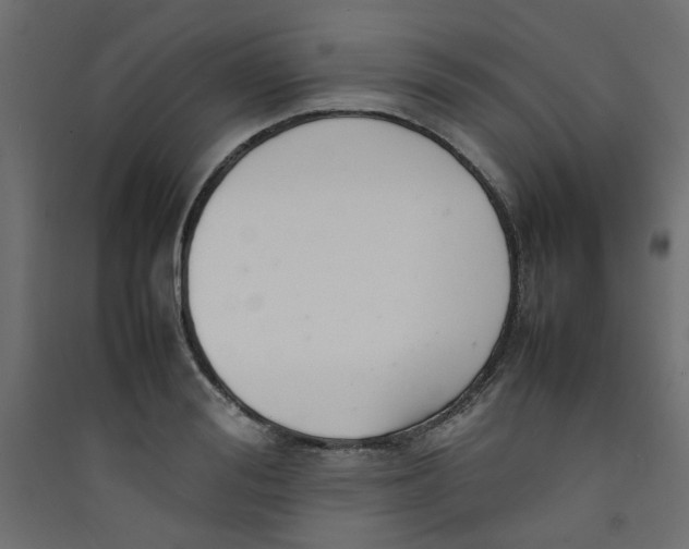 X0000089460988200707131944