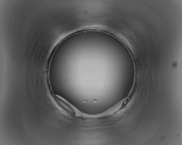 X0000089460989200707131944