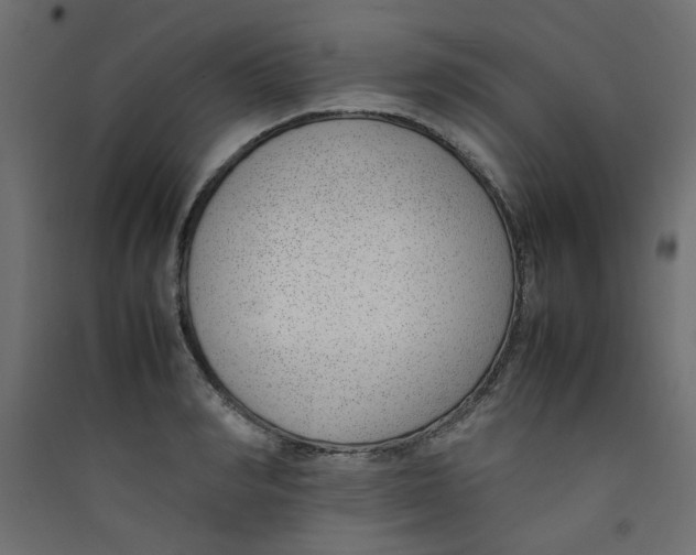 X0000089460990200707131944