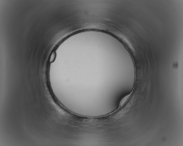 X0000089460991200707131944