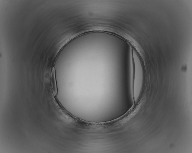 X0000089460993200707131944