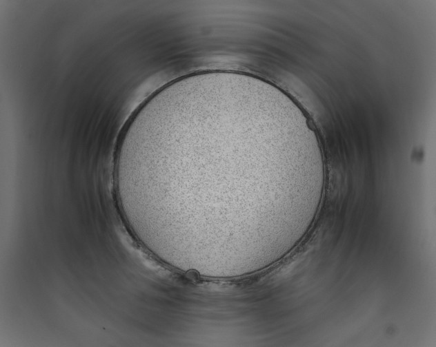 X0000089460994200707131944