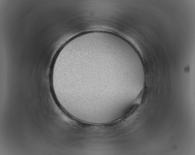 X0000089460995200707131944